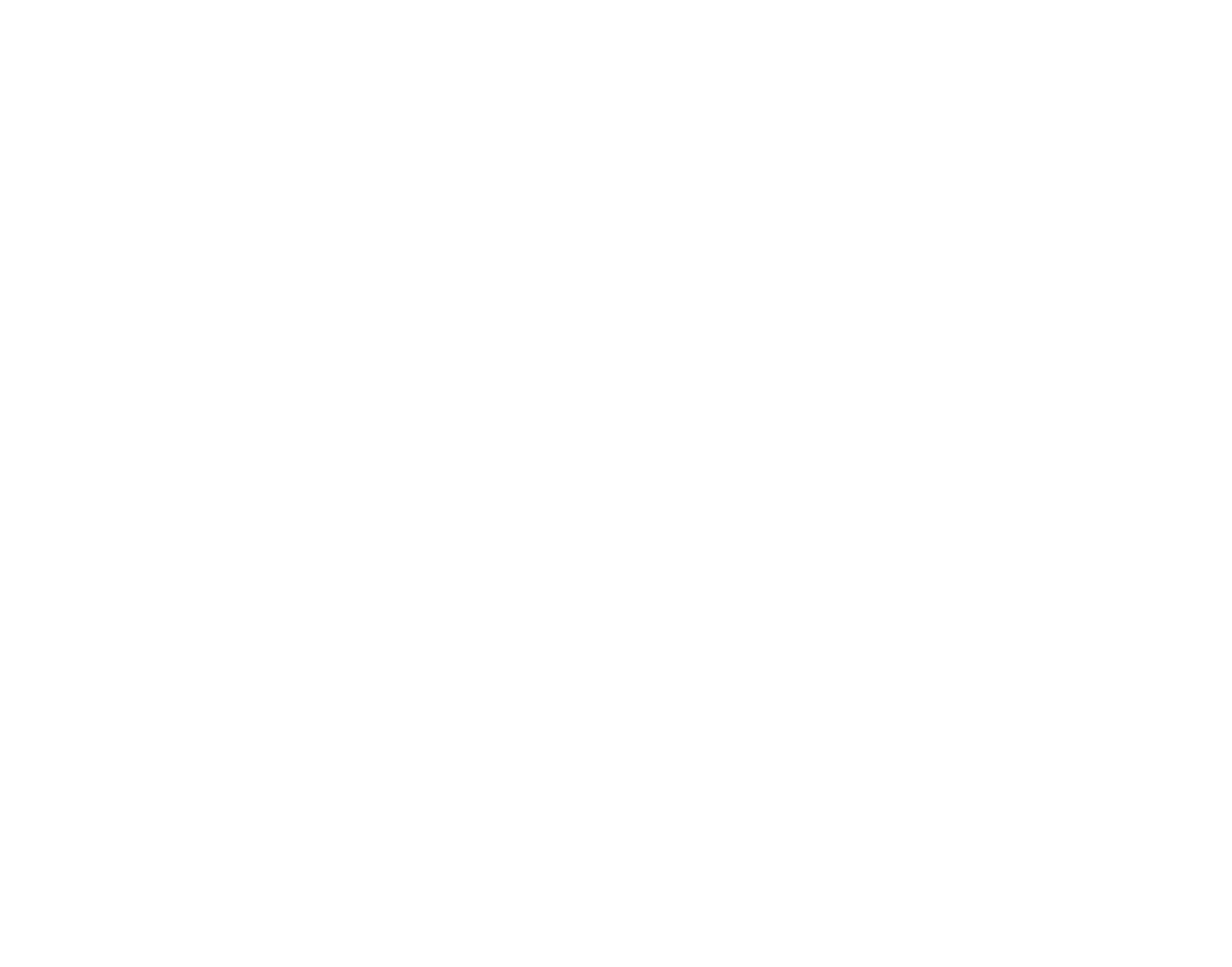 A BÚSSOLA